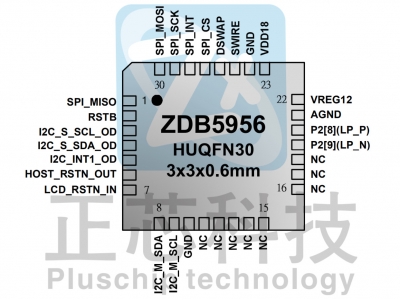 ZDB5956